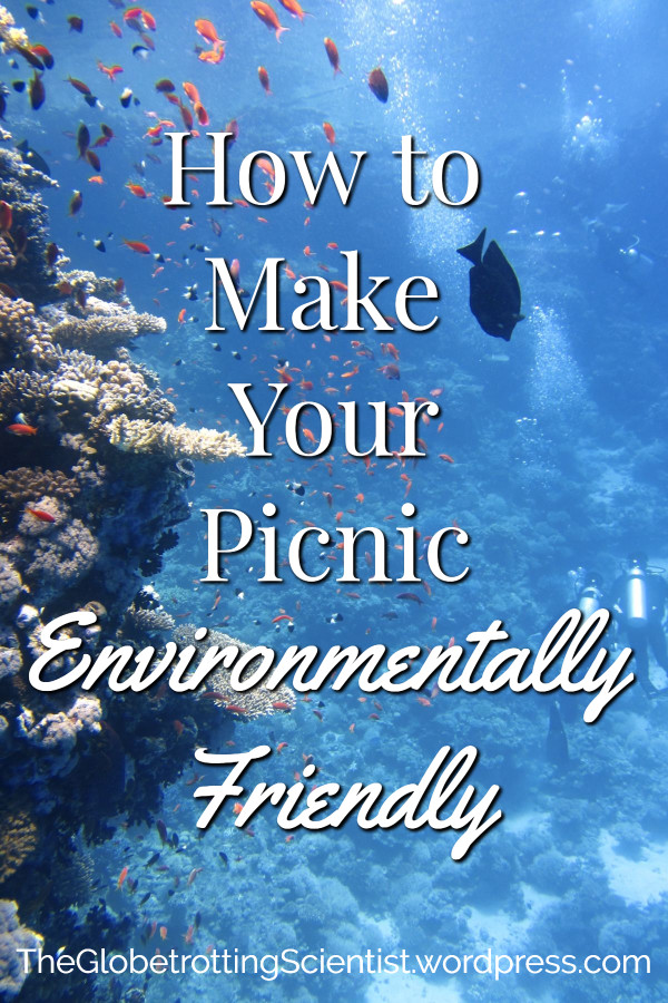 How to Make Your Picnic Environmentally Friendly